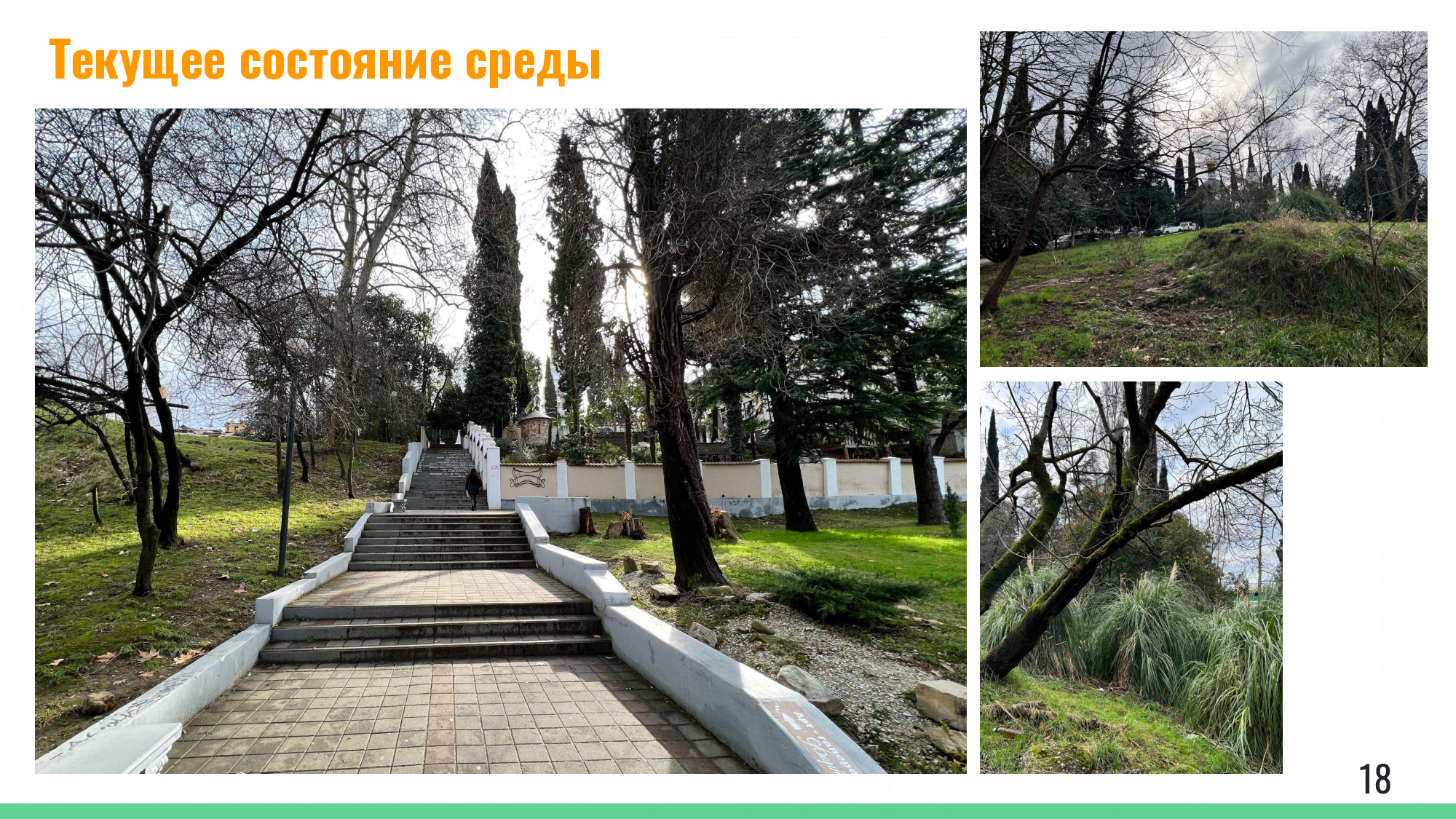 Сад «Посад» историческое ядро центра Сочи