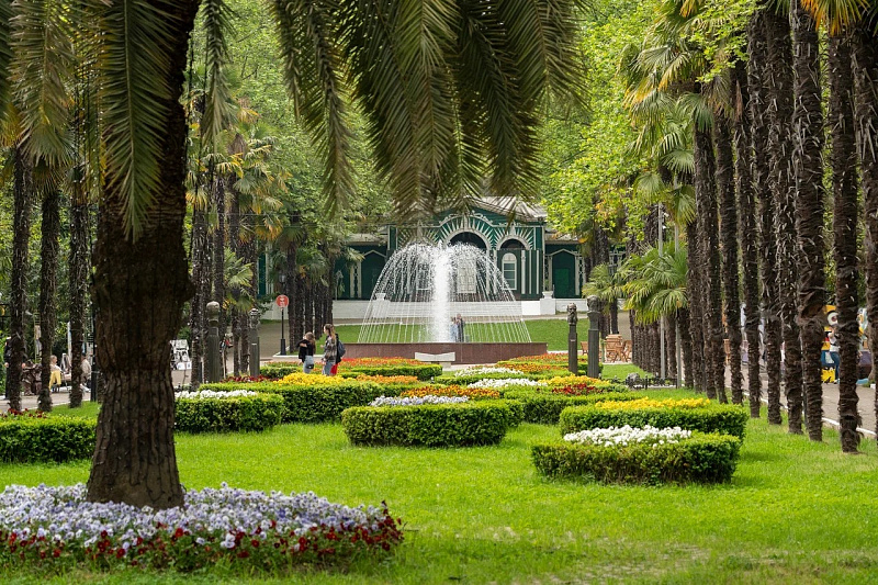 В Сочи продолжается реконструкция розария в парке «Ривьера»
