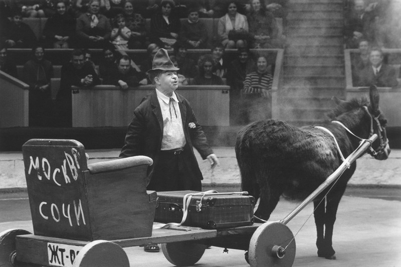 Прошлое и будущее: история сочинского цирка