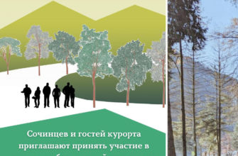 Опрос по развитию сквера Трудовой Славы в пгт Красная Поляна