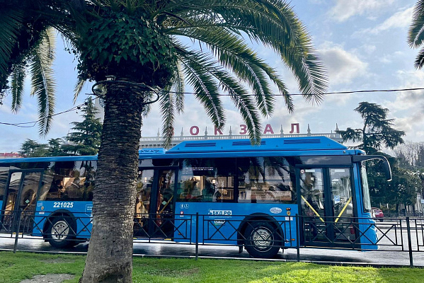 В Сочи наполовину планируют обновить муниципальный парк автобусов