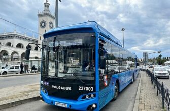 В Сочи на маршруты общественного транспорта вышли 25 новых автобусов