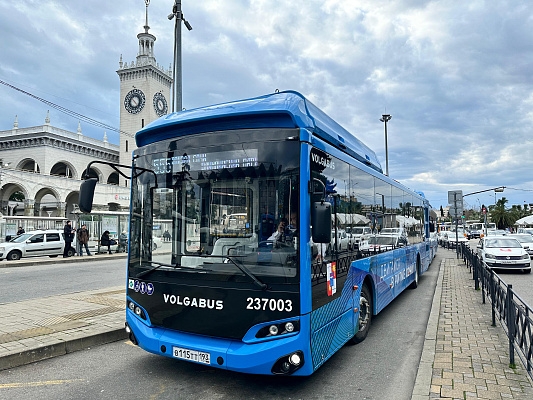 В Сочи на маршруты общественного транспорта вышли 25 новых автобусов