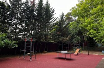 В школах Сочи откроются 42 новых воркаут площадки