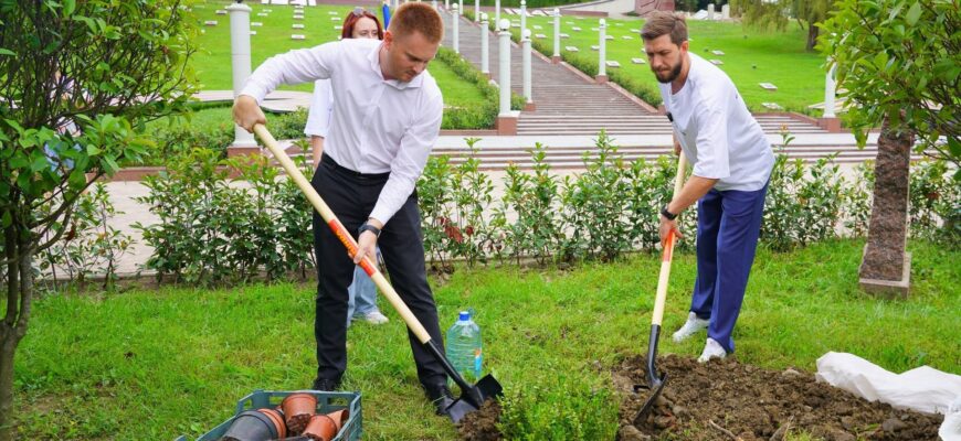 В Сочи высадили 55 саженцев самшита