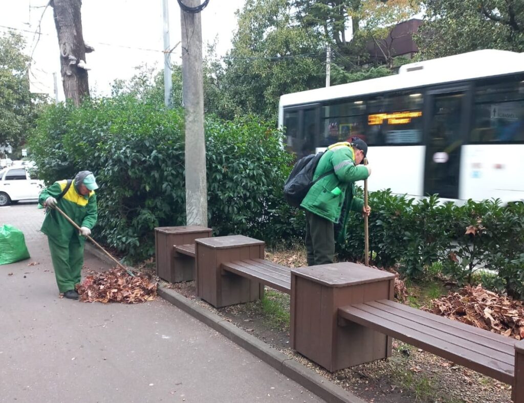 В Сочи прошёл общегородской субботник